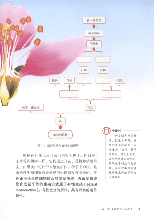 代生出的孩子像谁【代生出的孩子像谁：寻找生物学家的基因融合之谜】